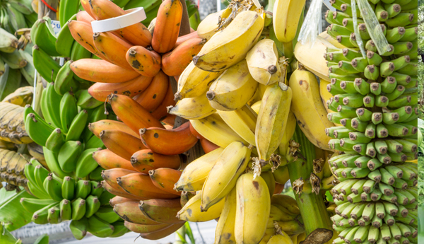 Kadali-fruit-feast!